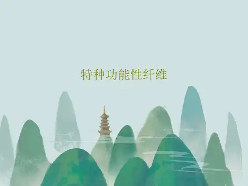 特种功能性纤维共24页文档