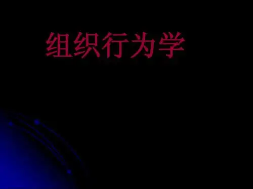 组织行为学讲义(MBA)