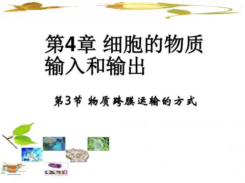 4.3《物质跨膜运输的方式》课件.pptx