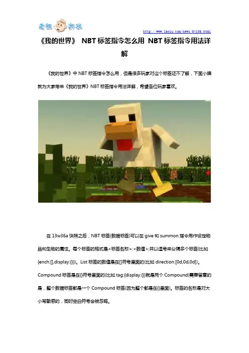 《我的世界》 NBT标签指令怎么用 NBT标签指令用法详解