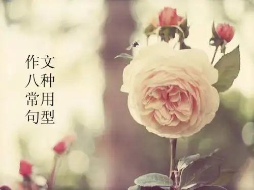 cet-4&6 3复习指导