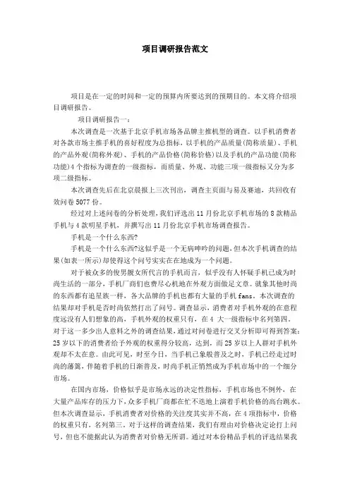 项目调研报告范文-总结报告模板