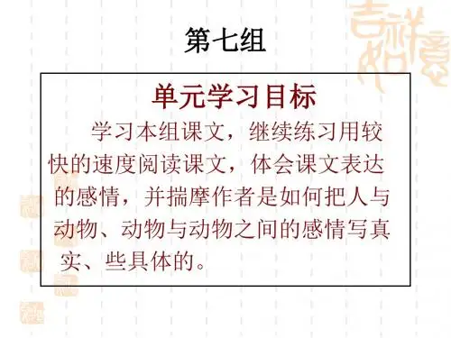 《老人与海鸥》
