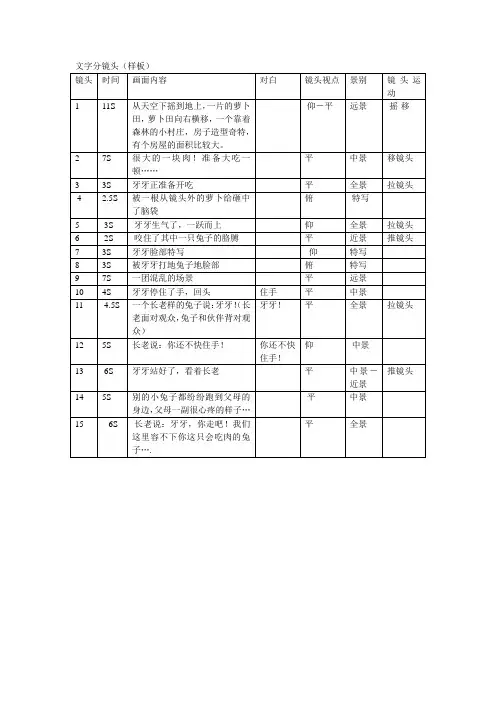 文字分镜头样板