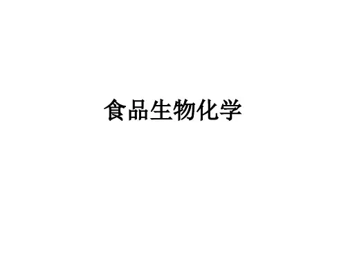 全套课件 食品生物化学