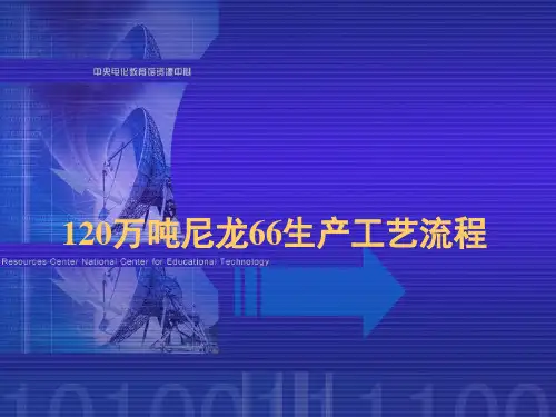 120万吨尼龙66生产工艺流程