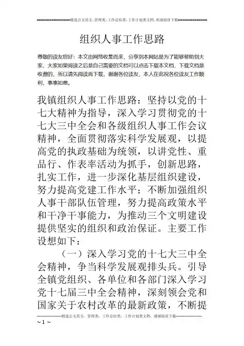 组织人事工作思路