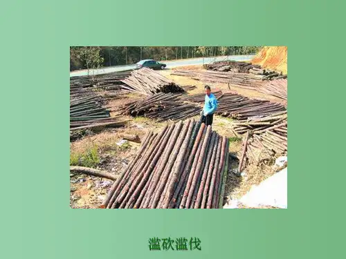 七年级生物下册 人类对生态环境的破坏1课件 人教新课标版