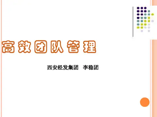高效的团队管理方法