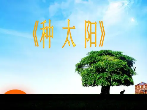 《种太阳》课件