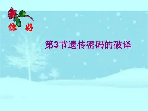人教版高中生物必修二第4章第1节基因指导蛋白质的合成 课件(共19张PPT)