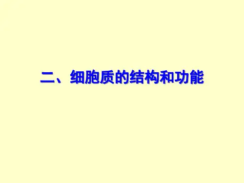 2-1二细胞质的结构和功能
