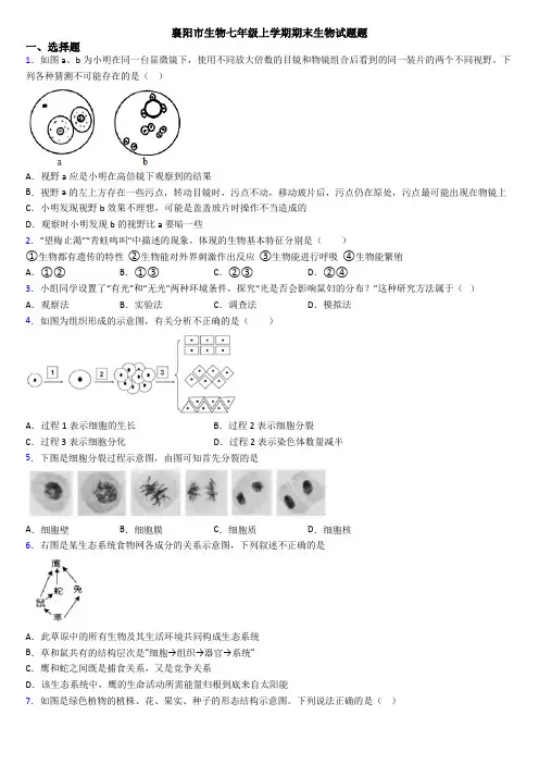襄阳市生物七年级上学期期末生物试题题