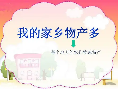 我的家乡物产多共28页文档