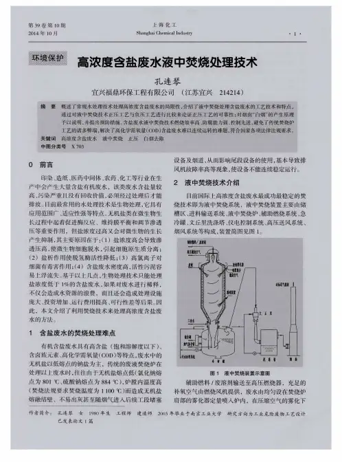 高浓度含盐废水液中焚烧处理技术