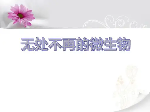 无处不在的微生物 课件