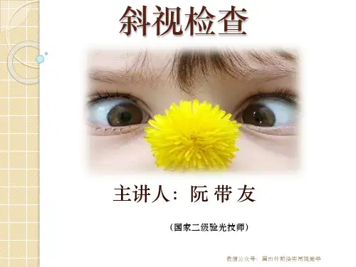 斜视检查(No.1)