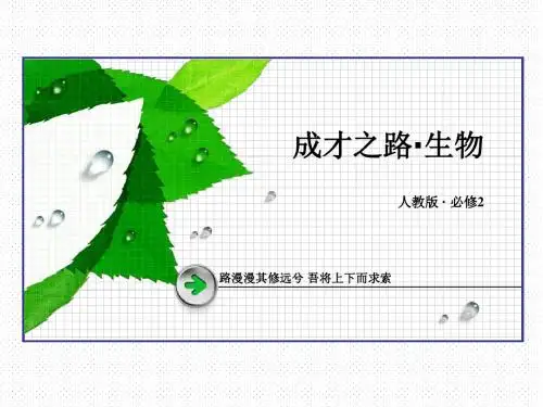 2015-2016学年高中生物人教版必修二课件 章末归纳整合4.ppt