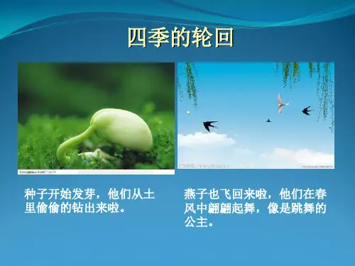 跟随生命的节奏