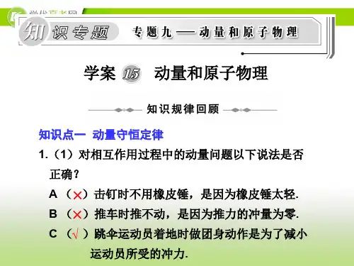 动量和原子物理ppt课件