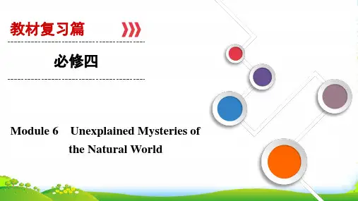 大一轮高考总复习英语(外研版)课件：必修4+Module+6