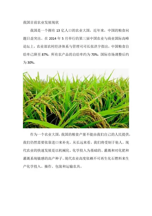 农业发展现状