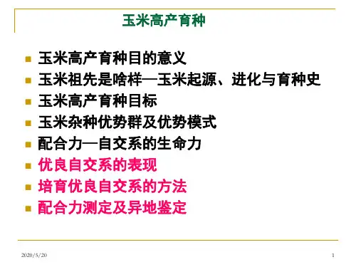玉米高产育种目的意义2012.10