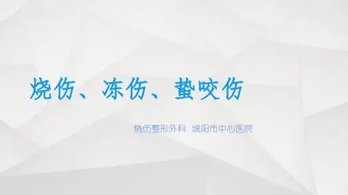 《烧伤教案》PPT课件
