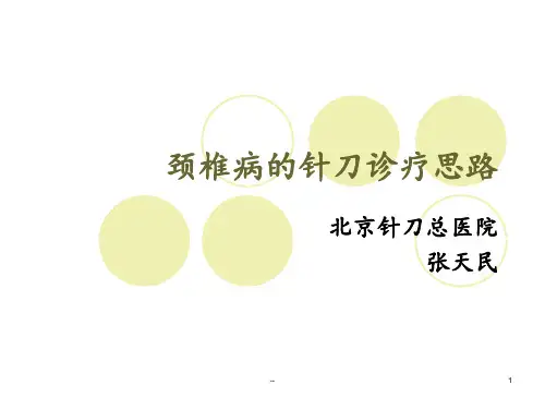 颈椎病的针刀诊疗思路PPT课件