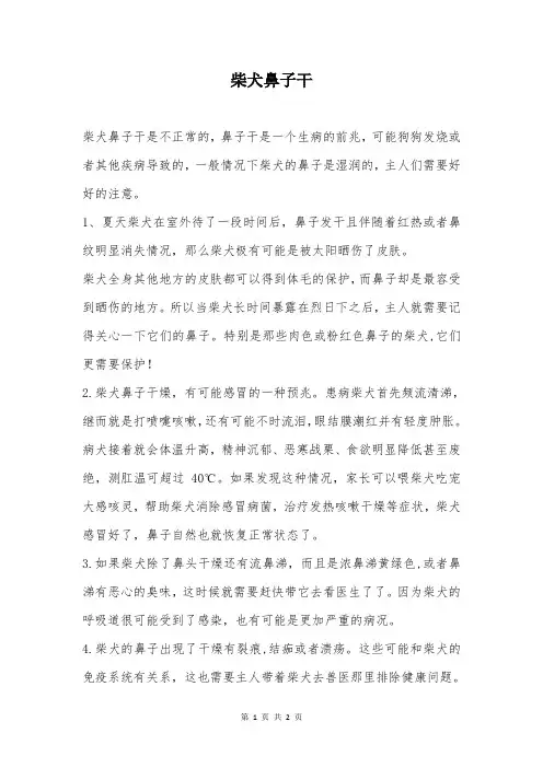 柴犬鼻子干