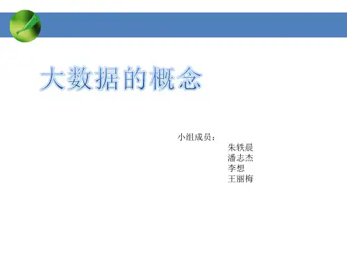 大数据ppt资料