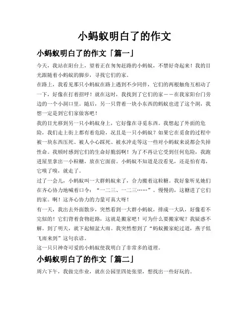 小蚂蚁明白了的作文