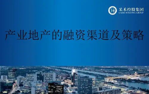 陈仕良-下午演讲3-产业地产的融资渠道及策略