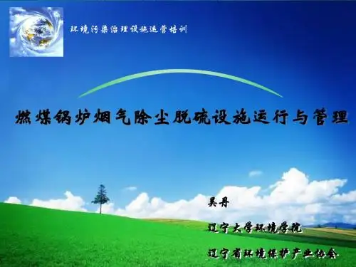 锅炉+除尘 定稿--燃煤锅炉烟气除尘脱硫设施运行与 2