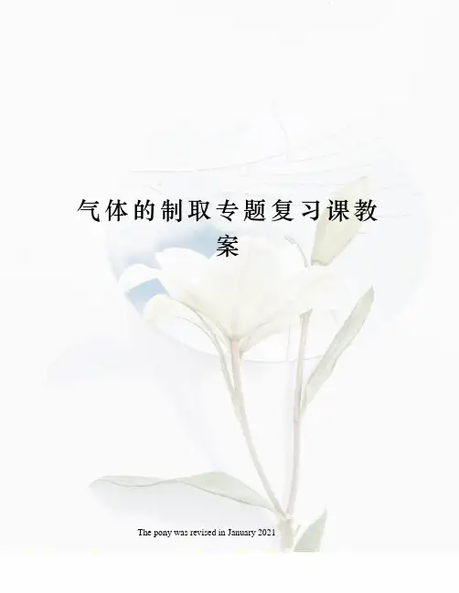 气体的制取专题复习课教案