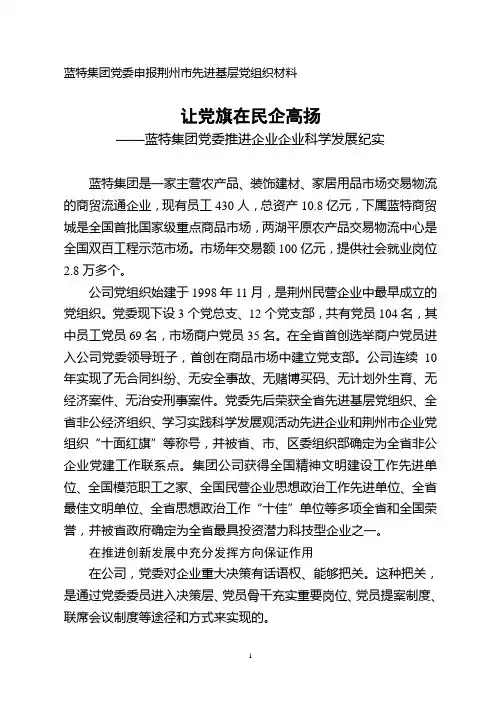 让党旗在民企高扬(2010)