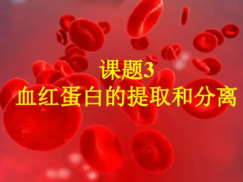 高中生物_5.3_血红蛋白的提取和分离_新人教版选修1