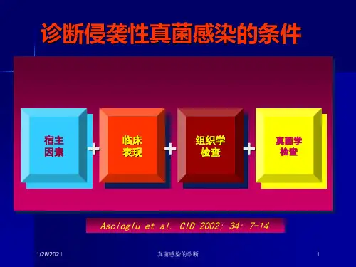 真菌感染的诊断培训课件