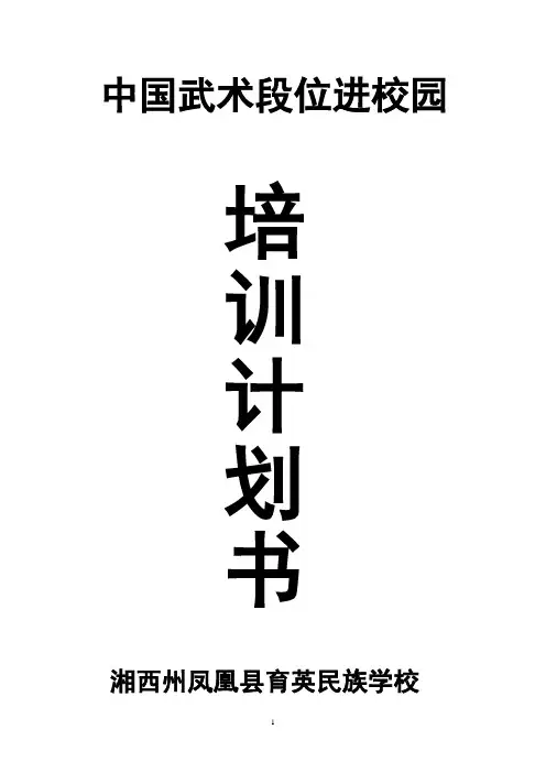武术进校园计划书