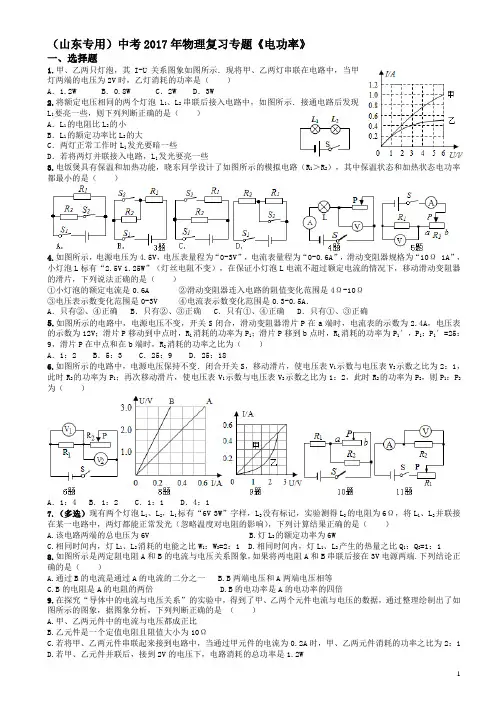 2017年中考物理复习专题-《电功率》