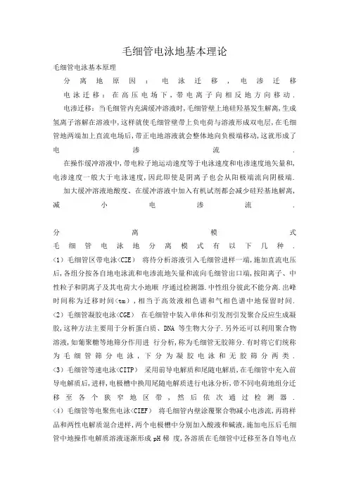 毛细管电泳基本理论设计