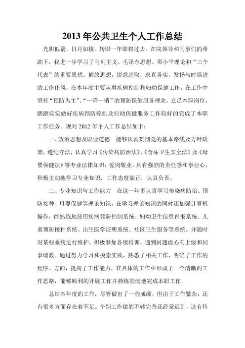 2013年公共卫生个人工作总结