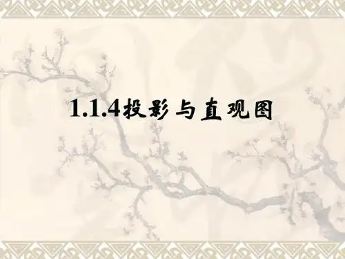 1.1.4投影与直观图
