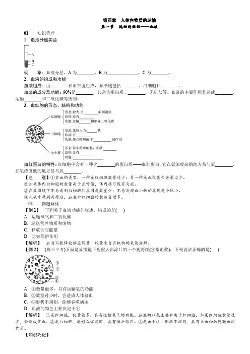 最新人教版初中 七年级生物下册第四章同步练习题