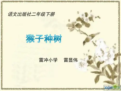 《猴子种树》课件