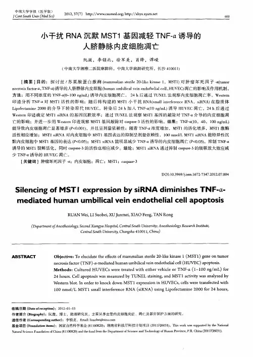小干扰RNA沉默MSTl基因减轻TNF-α诱导的人脐静脉内皮细胞凋亡
