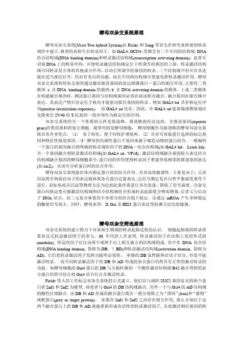 (完整版)酵母双杂交原理