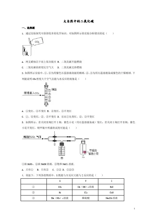 中考化学专题训练大自然中的二氧化碳