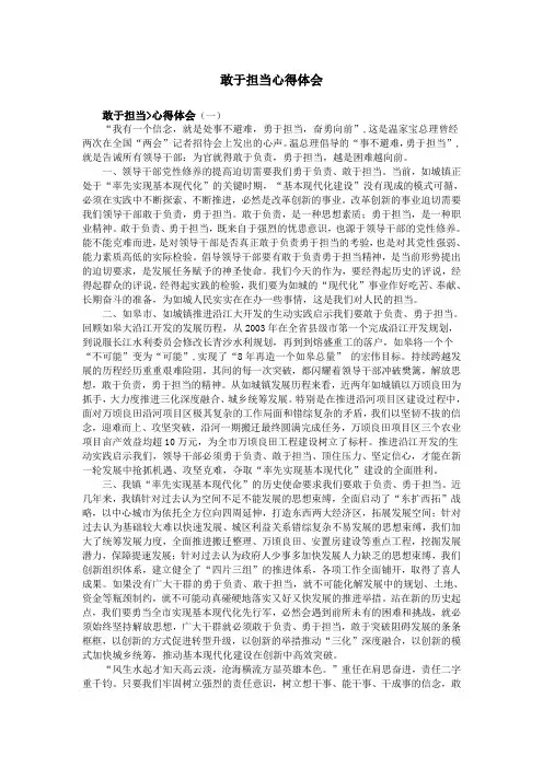 敢于担当心得体会
