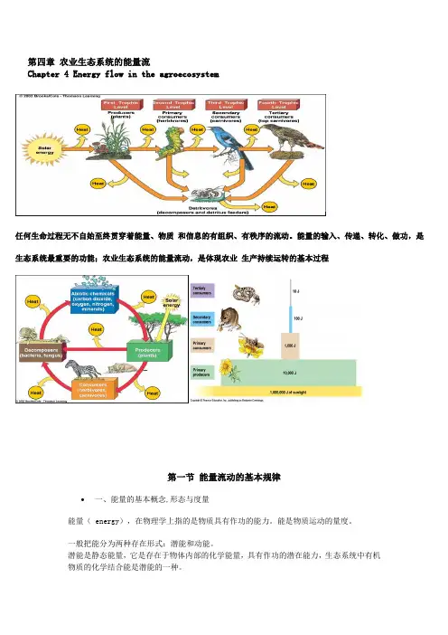 第四章 农业生态系统的能量流